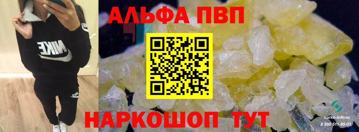 Альфа ПВП СК Сунжа