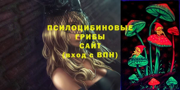 индика Алексеевка