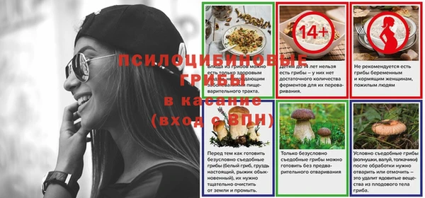 стафф Алексин