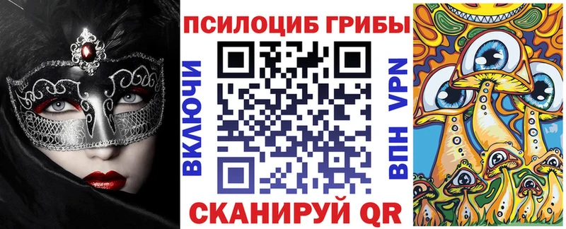 купить   Сунжа  Галлюциногенные грибы GOLDEN TEACHER 