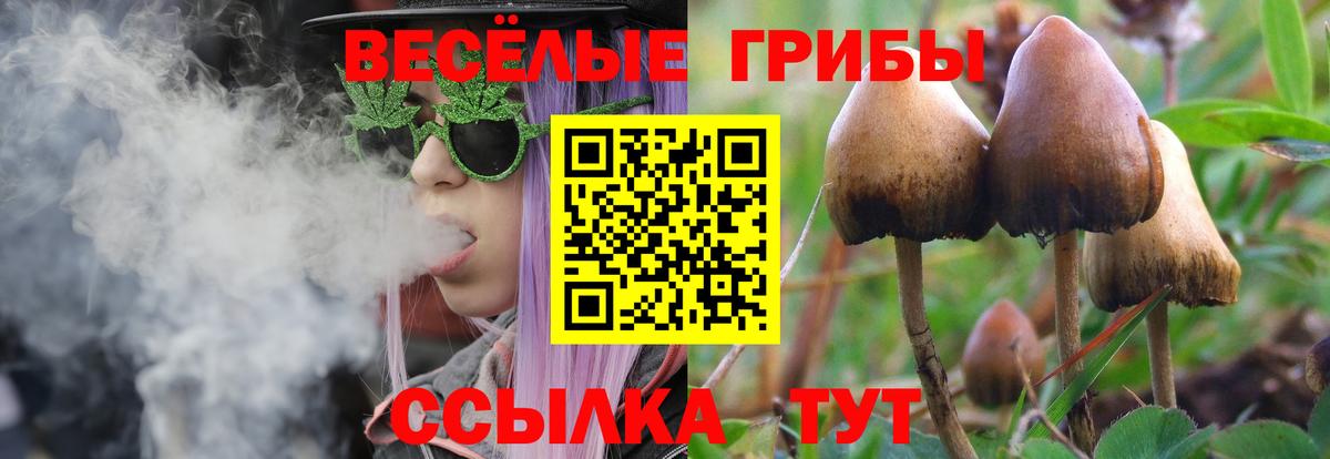 Галлюциногенные грибы прущие грибы Сунжа